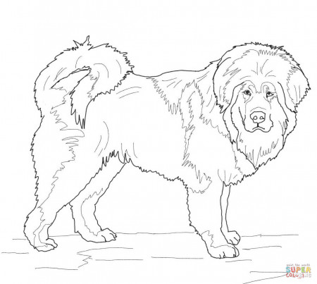 Dachshund coloring page | Free Printable Coloring Pages