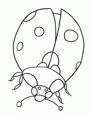 Printable Ladybug Coloring Pages | Coloring Me