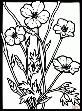 Poppy Coloring Pages - Coloring Page
