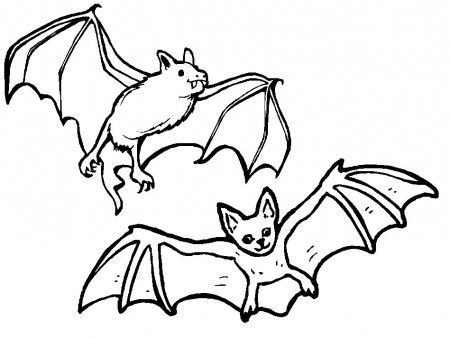 brown bat coloring page | Bat coloring pages, Animal coloring pages, Bat  printable