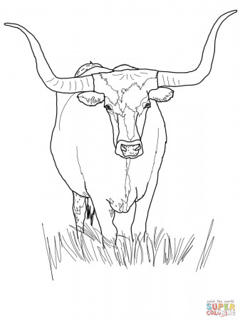 Bull Horn Coloring Page - Ð¡oloring Pages For All Ages