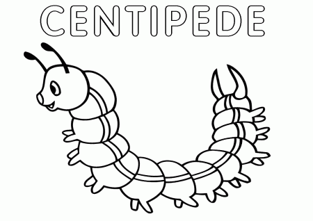 Centipede coloring pages | Coloring pages to download and print