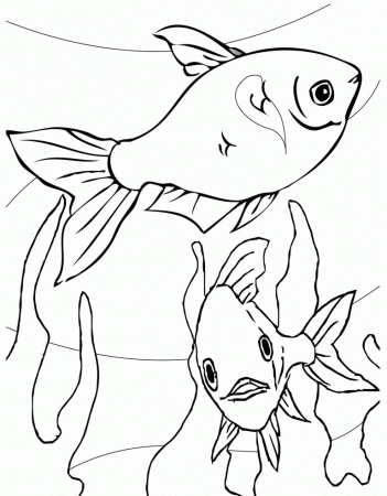 Aquarium Fish Printable Coloring Sheet :Kids Coloring Pages 