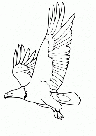 Eagle-coloring-picture-6 | Free Coloring Page Site