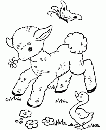Gallery For > March Lion Lamb Coloring Pages