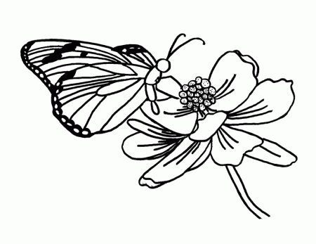 simple flower coloring pages for kids trend