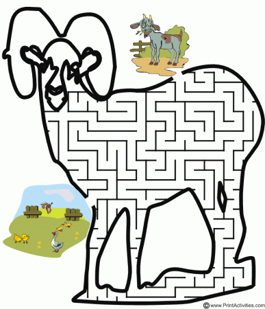 Goat Maze: shaped like a goat