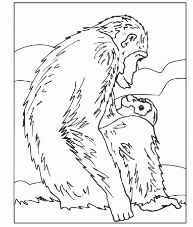 Cute Monkey Coloring Pages | Coloring - Part 4