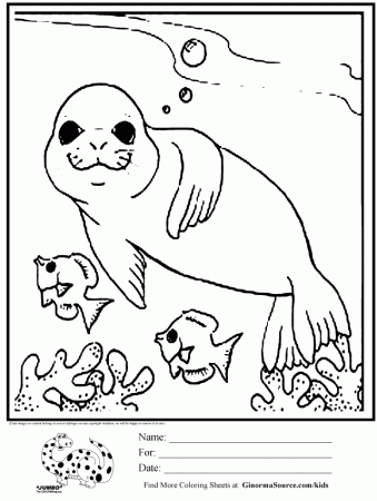 Cute Coloring Page Seal GINORMAsource Kids 107779 Baby Seal 