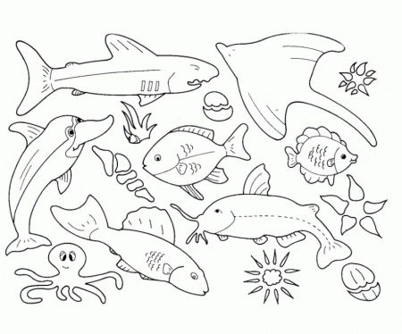 Sea life Colouring Pages