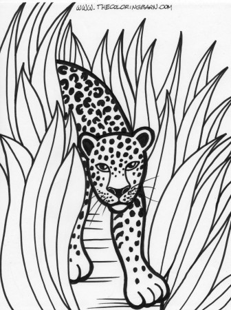 Rainforest Coloring Pages Printable Rainforest Trees Coloring ...