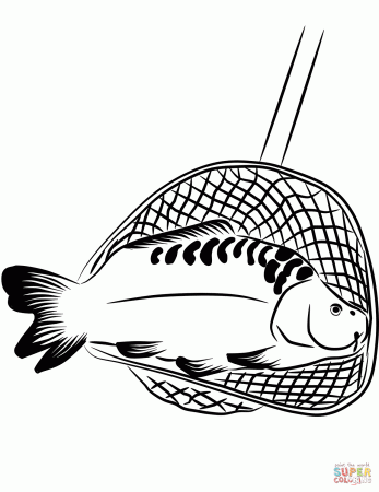 Carp in a Landing Net coloring page | Free Printable Coloring Pages