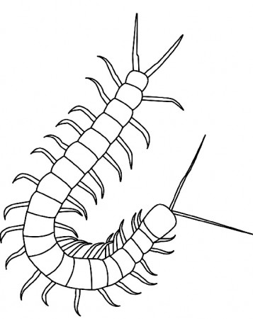 Drawing 6 from insects coloring page