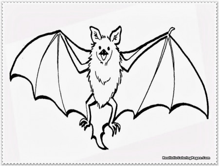 Bat coloring pages | The Sun Flower Pages