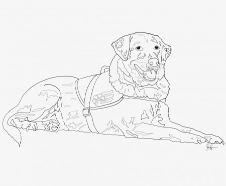 Custom service dog drawing. Email De*****@***** for a quote. | Dog drawing, Dog  coloring book, Dog coloring page