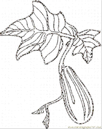Coloring Pages Cucumber 4 (Natural World > Vegetables) - free 