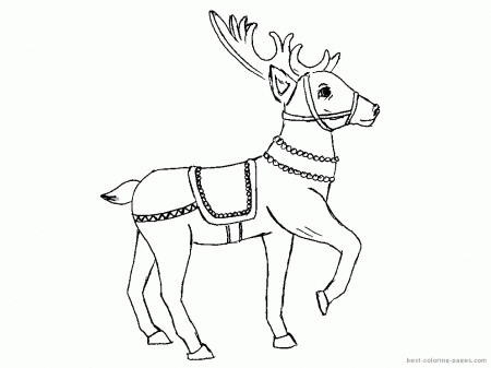 Christmas reindeers | Best Coloring Pages - Free coloring pages to 