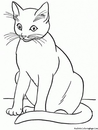 Cat Coloring Sheets Sphynx Cat Pictures,Hairless Sphynx Cat,Cat