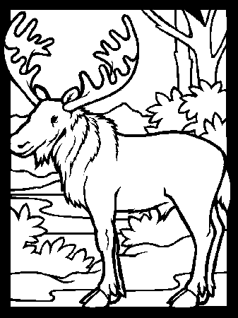 moose coloring pictures fun you can color