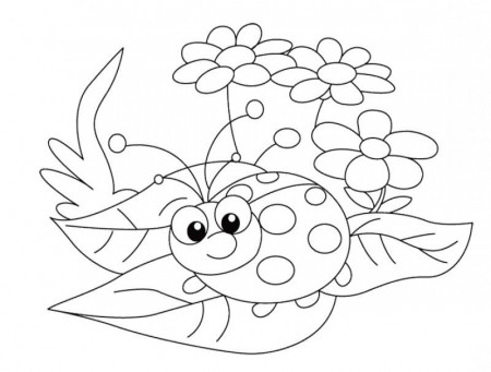 Ladybug And Flower Coloring Pages - Kids Colouring Pages