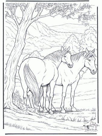 Detailed Horse Coloring Pages 9 | Free Printable Coloring Pages