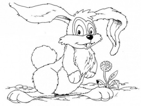 Print Or Download Peter Rabbit Free Printable Coloring Pages No 25 