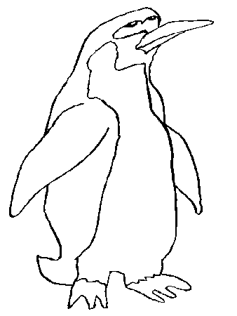 Penguin coloring pages | Coloring-