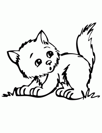 cut kittens Colouring Pages