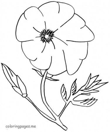 Cool Poppy Coloring Page | Laptopezine.