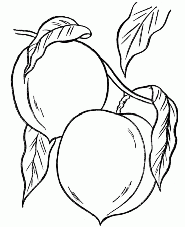Peaches Coloring Pages Picture | Learn To Coloring
