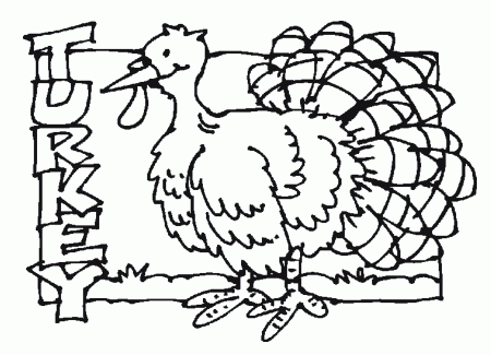 turkey coloring sheet