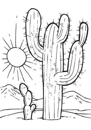 Desert Sunset Coloring Pages: Cactus at Deser | Cactus drawing ...
