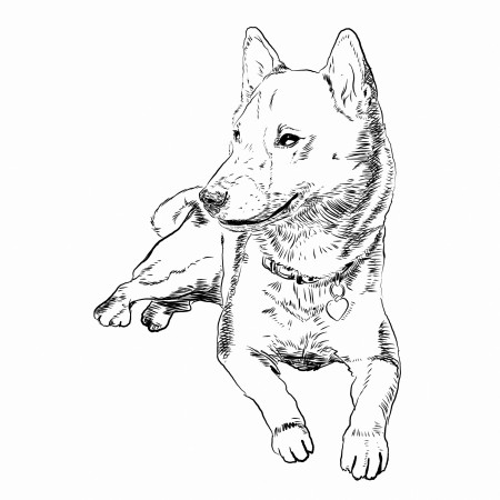 Free Coloring Book: Dogs Themed | The Space Wanderer