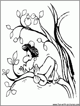 Zacchaeus Coloring Pages For Preschoolers - Coloring Pages