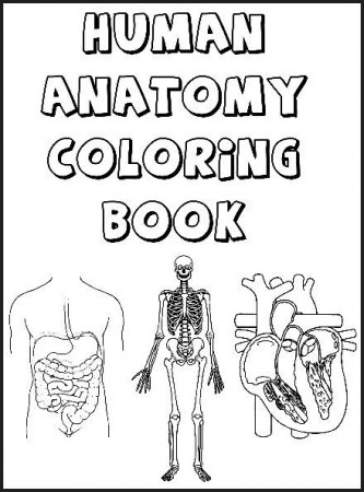 Circulatory System Coloring Pages Page 1