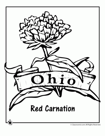 Ohio State Flower Coloring Page - Woo! Jr. Kids Activities