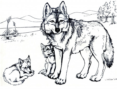 Cool Wolf Coloring Pages Printable | Animal Coloring pages of ...