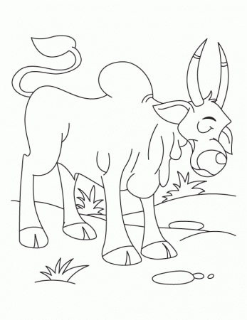 Sad! Poor ox coloring pages | Download Free Sad! Poor ox coloring 