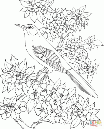 Arkansas Mockingbird and Apple Blossom coloring page | Free ...