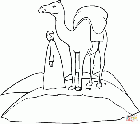 Loaded camel on the go through desert coloring page | Free ...
