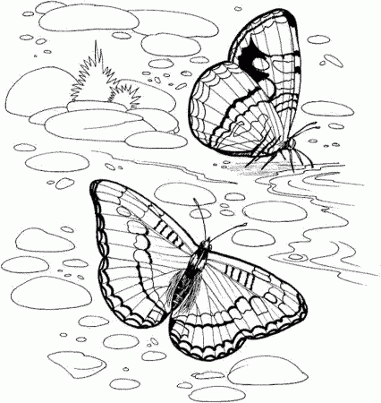 Colouring Pages Nature | Free Coloring Pages on Masivy World