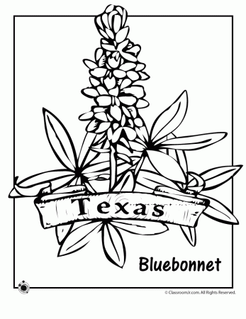 Texas State Flower Coloring Page | Classroom Jr.