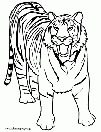 Hey how about have fun with this awesome printable coloring page in