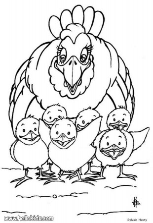 FARM ANIMAL coloring pages - Hen and Chicks