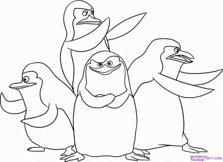 Coloring Pages Of Penguins ClipArt Best 183525 Coloring Pages Of 