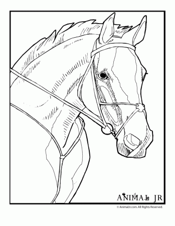 Horse Coloring Pages | coloring page
