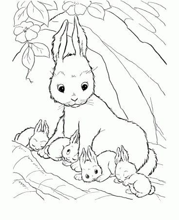 Bunny Printable Coloring Pages for Pinterest