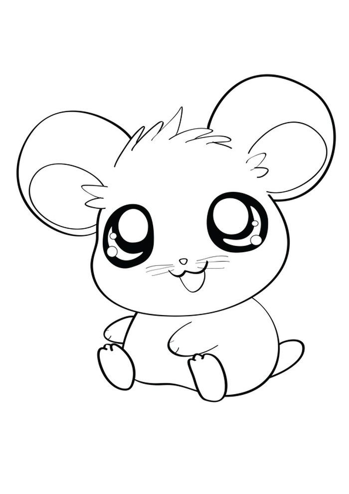 Dwarf Hamster Coloring Pages | Coloring books, Animal coloring pages, Coloring  pages