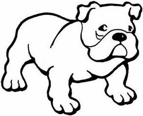 Bull Dog Coloring - Coloring Pages for Kids and for Adults