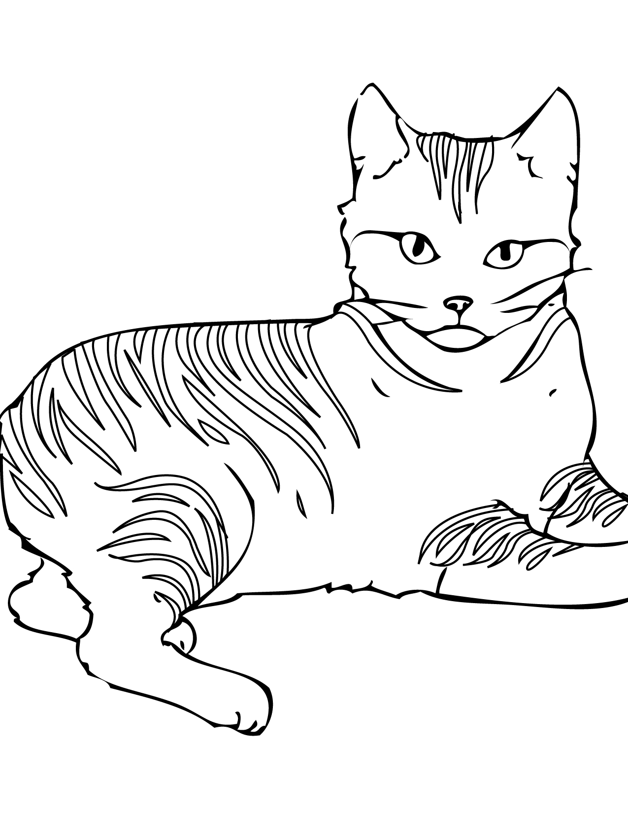 Download Wild Cats Coloring Pages Coloring Home